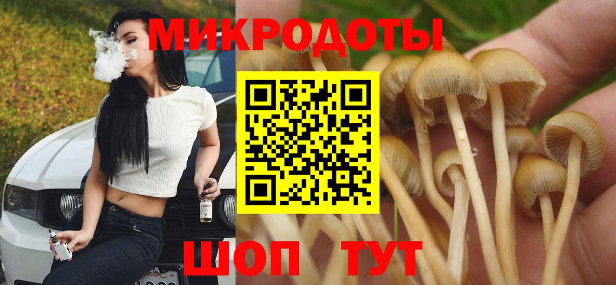 хочу   Псилоцибиновые грибы MAGIC MUSHROOMS  Вход с VPN  Галлюциногенные грибы Magic Shrooms  Ставрополь 