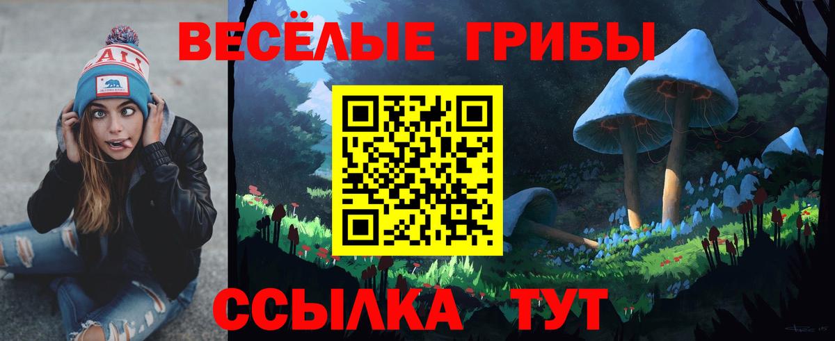 Галлюциногенные грибы MAGIC MUSHROOMS Ставрополь